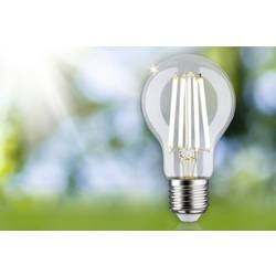 Paulmann 29121 LED Energetická třída (EEK2021) A (A - G) E27 4 W teplá bílá (Ø x v) 60 mm x 105 mm 1 ks