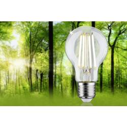 Paulmann 29120 LED Energetická třída (EEK2021) A (A - G) E27 2.5 W teplá bílá (Ø x v) 60 mm x 105 mm 1 ks