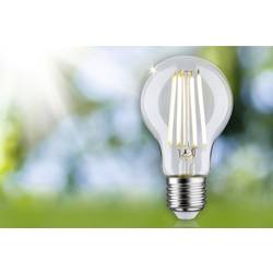 Paulmann 29120 LED Energetická třída (EEK2021) A (A - G) E27 2.5 W teplá bílá (Ø x v) 60 mm x 105 mm 1 ks