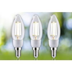 Paulmann 29133 LED Energetická třída (EEK2021) A (A - G) E14 2.5 W teplá bílá (Ø x v) 35 mm x 113 mm 3 ks