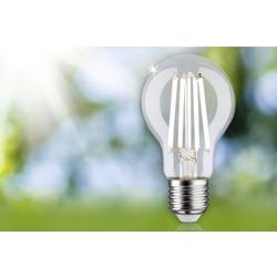 Paulmann 29125 LED Energetická třída (EEK2021) A (A - G) E27 4 W neutrální bílá (Ø x v) 60 mm x 105 mm 1 ks