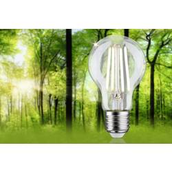 Paulmann 29124 LED Energetická třída (EEK2021) A (A - G) E27 2.5 W neutrální bílá (Ø x v) 60 mm x 105 mm 1 ks