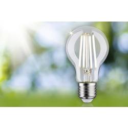 Paulmann 29124 LED Energetická třída (EEK2021) A (A - G) E27 2.5 W neutrální bílá (Ø x v) 60 mm x 105 mm 1 ks