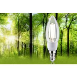 Paulmann 29129 LED Energetická třída (EEK2021) A (A - G) E14 2.5 W neutrální bílá (Ø x v) 35 mm x 113 mm 1 ks