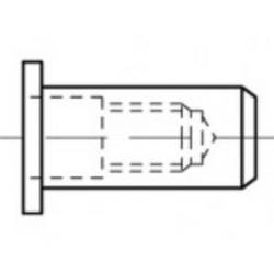 TOOLCRAFT TO-5444283 slepá nýtovací matice M5 ocel 500 ks