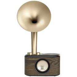 Sangean WR-45X Gold A500435 stolní rádio, FM, AUX, Bluetooth, s akumulátorem, černá, zlatá