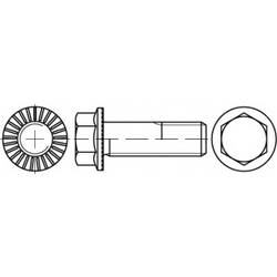 TOOLCRAFT TO-5444556 šestihranný šroub M16 30 mm vnější šestihran 88913 50 ks
