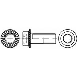 TOOLCRAFT TO-5444430 šestihranný šroub M8 25 mm vnitřní šestihran 88912 200 ks