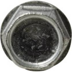 TOOLCRAFT 828018 závrtný šroub 3.5 mm 19 mm vnější šestihran DIN 7504 ocel pozinkované 100 ks