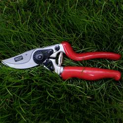 Siena Garden CG1070 nůžky na trávu 21.5 cm bypass