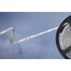 Barthelme 51540428 51540428 LED pásek volný konec 12 V 5 m teplá bílá 1 ks