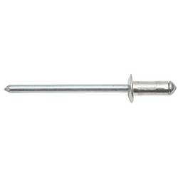 SWG 915486425 nýt s plochou kulatou hlavou (Ø x d) 4.8 mm x 10.3 mm hliník 100 ks