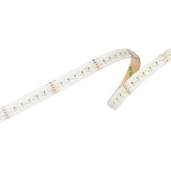 Barthelme 51542628 LED pásek pájitelné 24 V/DC 5000 mm RGBW 5 m