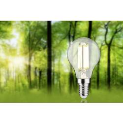Paulmann 29197 LED Energetická třída (EEK2021) A (A - G) E14 kapkový tvar 2.5 W teplá bílá (Ø x v) 45 mm x 82 mm 1 ks