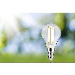 Paulmann 29197 LED Energetická třída (EEK2021) A (A - G) E14 kapkový tvar 2.5 W teplá bílá (Ø x v) 45 mm x 82 mm 1 ks