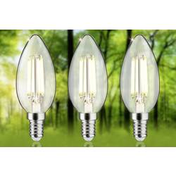 Paulmann 29199 LED Energetická třída (EEK2021) A (A - G) E14 svíčkový tvar 2.5 W teplá bílá (Ø x v) 35 mm x 98 mm 3 ks