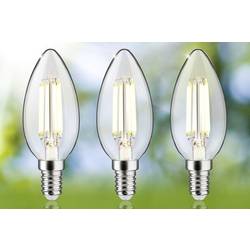 Paulmann 29199 LED Energetická třída (EEK2021) A (A - G) E14 svíčkový tvar 2.5 W teplá bílá (Ø x v) 35 mm x 98 mm 3 ks