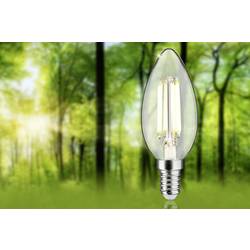 Paulmann 29195 LED Energetická třída (EEK2021) A (A - G) E14 svíčkový tvar 2.5 W teplá bílá (Ø x v) 35 mm x 98 mm 1 ks