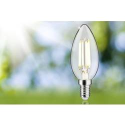 Paulmann 29195 LED Energetická třída (EEK2021) A (A - G) E14 svíčkový tvar 2.5 W teplá bílá (Ø x v) 35 mm x 98 mm 1 ks