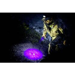 Ansmann Action 400 UV 1600-0679 LED, UV lampa kapesní svítilna na baterii 100 lm 27 h