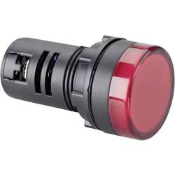 Barthelme 58630215 indikační LED bílá 12 V/DC, 12 V/AC, 240 V/AC