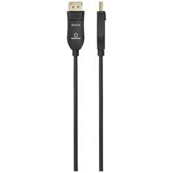 Renkforce optické vlákno / DisplayPort kabel Konektor DisplayPort, Konektor DisplayPort 30.00 m černá RF-6117772 8K UHD Kabel DisplayPort