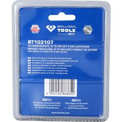 Brilliant Tools Okružní brusný kartáč, Ø 75 mm s upevněním 6 mm BT103107 BT103107 1 ks