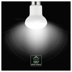 V-TAC 212116 LED Energetická třída (EEK2021) F (A - G) E14 žárovka 2.9 W = 25 W přírodní bílá 1 ks