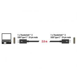 Delock Thunderbolt kabel Thunderbolt ™ (USB-C ®) zástrčka, Thunderbolt ™ (USB-C ®) zástrčka 2.00 m černá 84847 Thunderbolt™ kabel