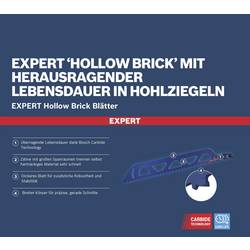 Bosch Accessories 2608900418 Plátek šalové pily Délka řezacího listu 455 mm 1 ks