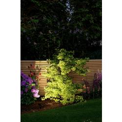 Paulmann 4064161325880 Osvětlovací systém Plug&Shine startovací sada LED zahradních reflektorů sada 4 ks LED 24 W teplá bílá antracitová