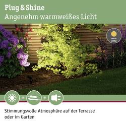 Paulmann 4064161325880 Osvětlovací systém Plug&Shine startovací sada LED zahradních reflektorů sada 4 ks LED 24 W teplá bílá antracitová