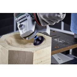 Wolfcraft 5608000 8 brousicích nástavců s otočným trnem, Ø 50 mm Průměr 50 mm