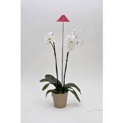 Venso LED lampa na rostliny SUNLiTE pevně vestavěné LED 7 W neutrální bílá 1 ks