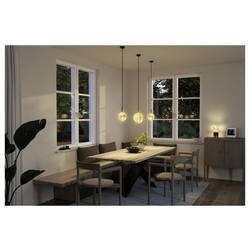 Paulmann 29288 LED Energetická třída (EEK2021) F (A - G) E27 4.7 W teplá bílá (Ø x v) 125 mm x 164 mm 1 ks