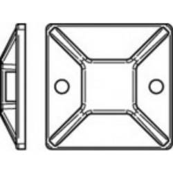 TOOLCRAFT úchytka TO-5454873 bílá 100 ks