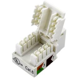 TRU COMPONENTS 93038C373, RJ45 konektor, spojka, rovná, bílá, 1 ks