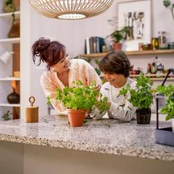 Philips 8720169300972 Fleta LED stropní svítidlo LED pevně vestavěné LED 10 W transparentní