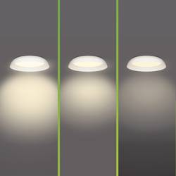 Philips 8720169300972 Fleta LED stropní svítidlo LED pevně vestavěné LED 10 W transparentní