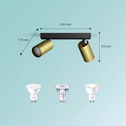 Philips Idris 8720169299191 stropní lampa GU10 10 W zlatá
