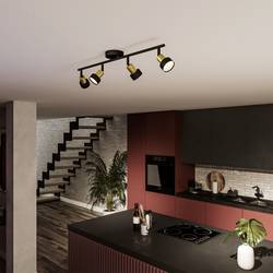Philips Conduit 8720169299931 stropní lampa GU10 černá, zlatá