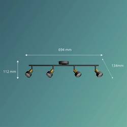 Philips Conduit 8720169299931 stropní lampa GU10 černá, zlatá