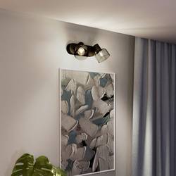 Philips Sleet 8720169299597 stropní lampa E14 50 W černá