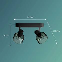 Philips Sleet 8720169299597 stropní lampa E14 50 W černá