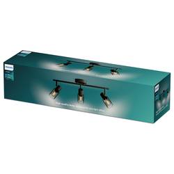 Philips Palms 8720169299313 stropní lampa E14 75 W černá