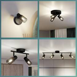 Philips Palms 8720169299313 stropní lampa E14 75 W černá