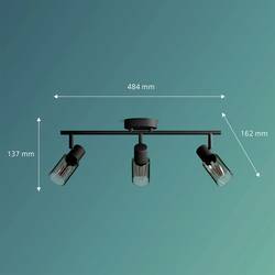 Philips Palms 8720169299313 stropní lampa E14 75 W černá