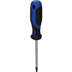 Brilliant Tools BT034908 dílnu TX šroubovák Velikost šroubováku T 25 Délka dříku: 100 mm 1 ks