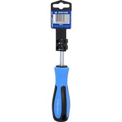 Brilliant Tools BT031042 TX šroubovák Velikost šroubováku T 40 Délka dříku: 100 mm 1 ks