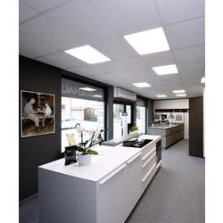 Deko Light Standard Office 100124 LED panel Energetická třída (EEK2021): E (A - G) 42 W neutrální bílá Dopravní bílá (RAL 9016)